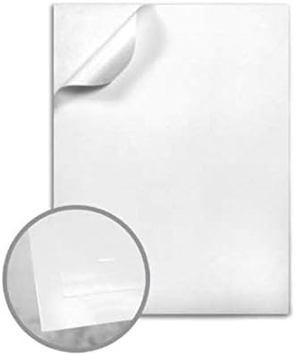 Limited Papers (TM) Full Sheet Sticker Label, Permanent Adhesive Paper, 8.5X11 Inch, Letter Size, 60 Pound, Scored Liner, Offset, 100 Sheets Per Ream (Covermatte)