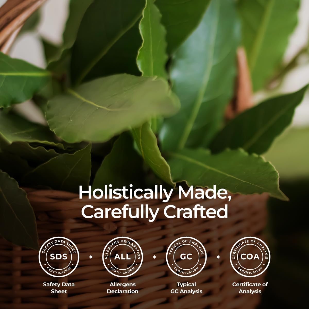 Gya Labs Organic Bay Leaf Essential Oil - 0.34 Fl Oz - for Skin, Hair, Diffuser, Aromatherapy, DIY Candle Making Scents