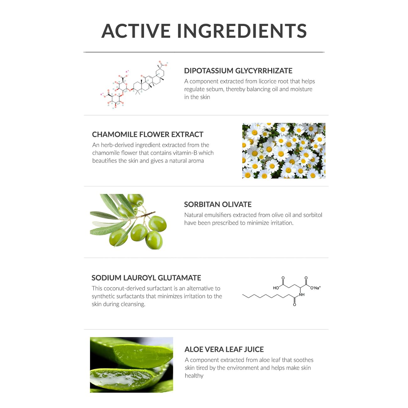 Anti-Sebum Foaming Facial Cleanser for Oily Skin - 100ml - Non-Irritating Dermatological Face Wash Cleansing Foam - Controls Excess Sebum, Soothes Irritation, Sulfate-Free, Korean Skin Care