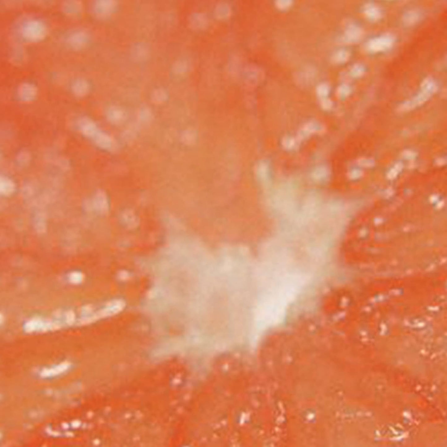 Curve Women's Perfume, Eau de Toilette EDT Spray, 3.4 fl oz