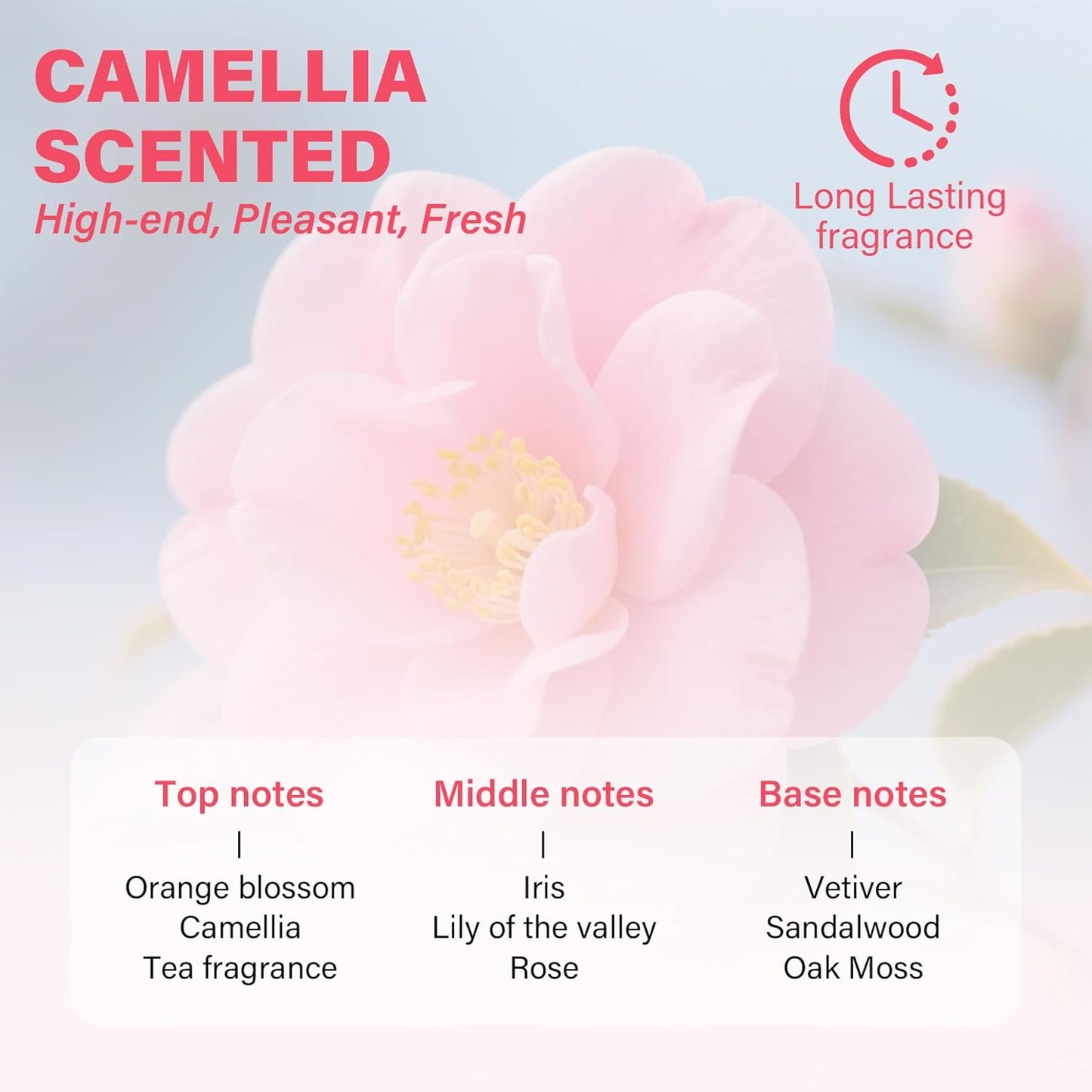 EJW Hair Detangler Spray – Leave-In Conditioning for Tangle-Free Hair – Instantly Detangles Knots, Smooths & Moisture, Prevents Breakage & Frizz – 2.03 fl oz