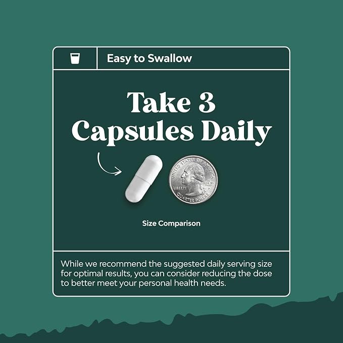 Digestive Enzymes with Ox Bile Supplement 4X Ox (1 Month)