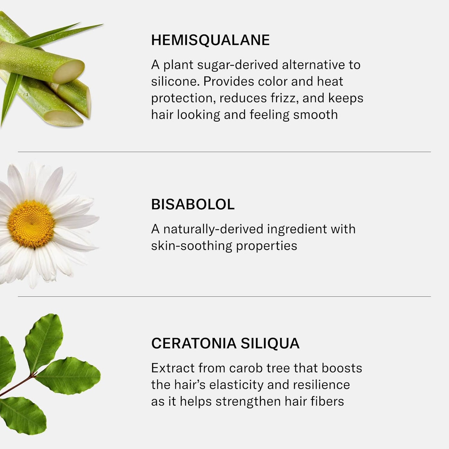 SEEN Curly Creme - Scented - Non-Comedogenic & Curl Defining Styling Hair Cream- Reduces Frizz- Heat Protectant- Safe for Sensitive Skin