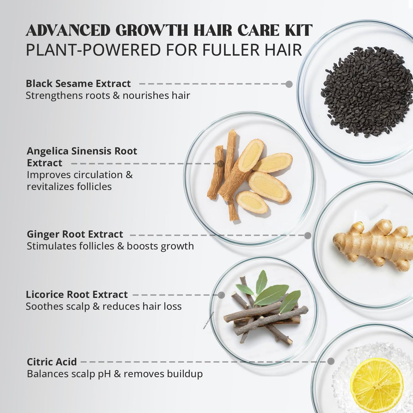 Root Activator Shampoo for Men & Hair Growth Serum Kit: Scalp Care for Hair Loss and Thinning Hair - Natural Hair Loss RegrowthTreatments for Women Men (11.1 Fl Oz (Pack of 1))