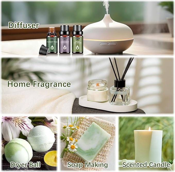 Essential Oils Set, Nature Scents Fragrance Oil Aromatherapy Essential Oils Kit for Diffuser (6x10ML) Sandalwood &Rose, Bamboo, Rain, Lavender &Chamomile, Fresh Cut Grass, Forest Pine Oil