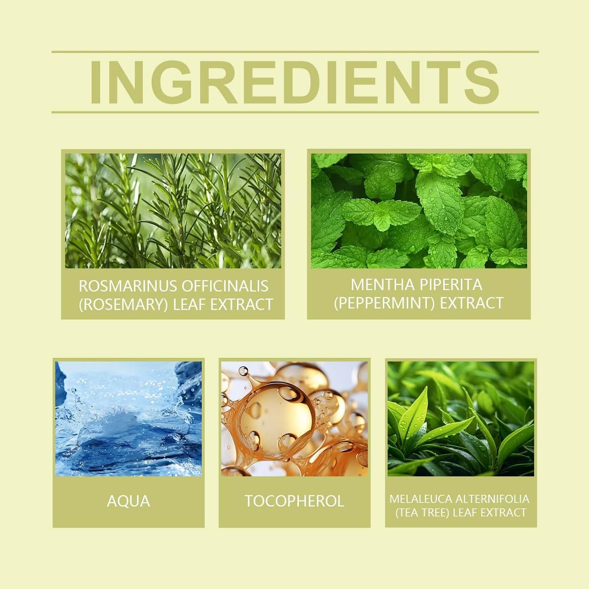 2 Pcs Rosemary Water Spray for Hair Growth, Nourishing Toughness Anti Hair Loss for Dry Damaged and Thin Hair.