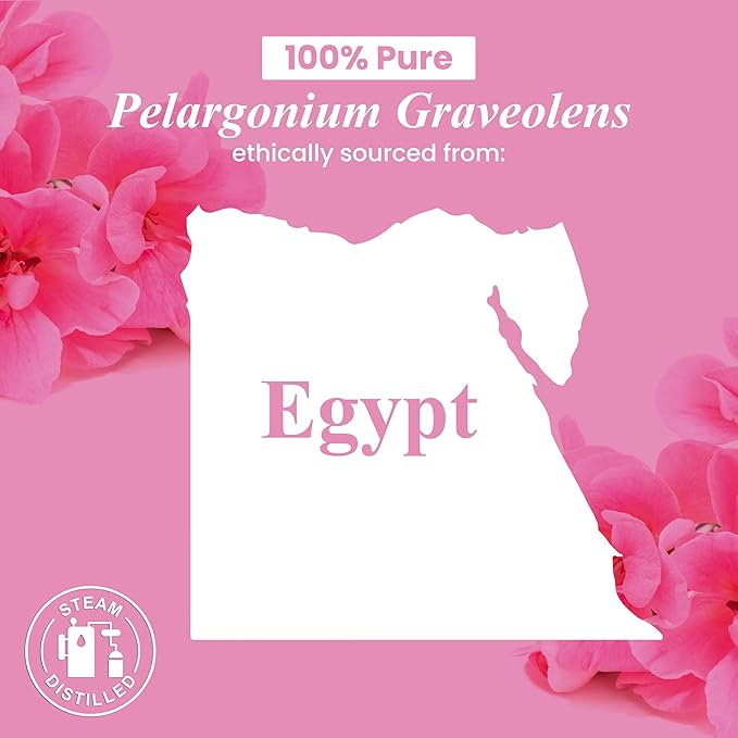 Handcraft Blends Geranium Essential Oil - 1 Fl Oz - 100% Pure and Natural - Premium Grade Essential Oil for Diffuser and Aromatherapy