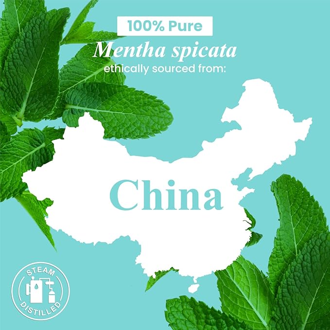 Handcraft Blends Spearmint Essential Oil - Huge 4 Fl Oz - 100% Pure and Natural - Premium Grade Essential Oil for Diffuser and Aromatherapy