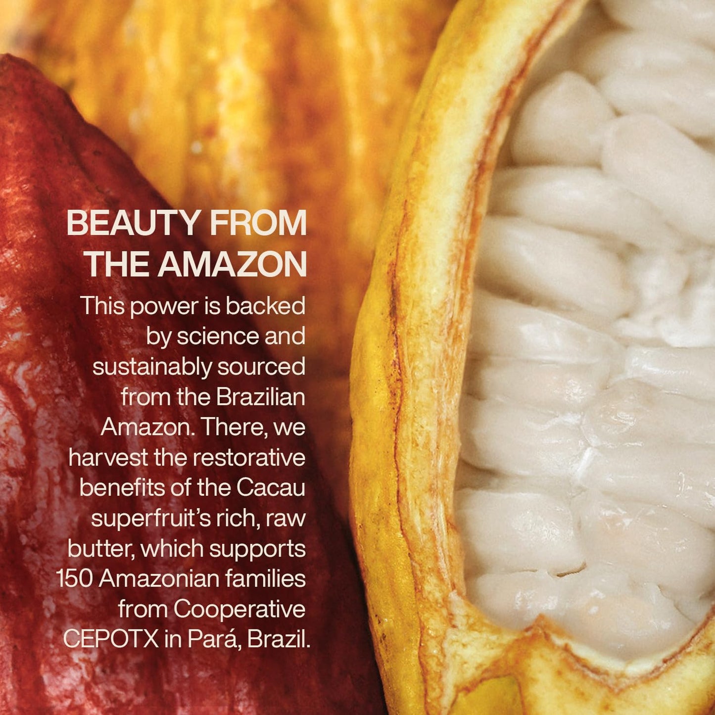 Natura Ekos Body Mist Cacau Frescor Eau de Toilette - Long Lasting Fragrance - Notes of Orange, Gardenia, Chocolate, Sandalwood, Vanilla, Musk - Spicy and Sweet Women's Perfume 150 ml