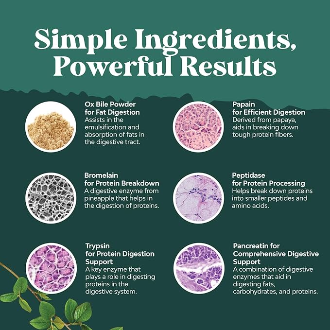 Digestive Enzymes with Ox Bile Supplement 4X Ox (1 Month)