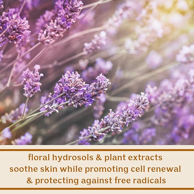 Solluna by Kimberly Snyder Feel Good Cleanser — Anti-Aging, Hydrating & Soothing pH Balanced Facial Cleanser — Gentle Moisturizing Natural Oils & Plant Botanicals (4oz) Cruelty-Free Vegan & Non-GMO