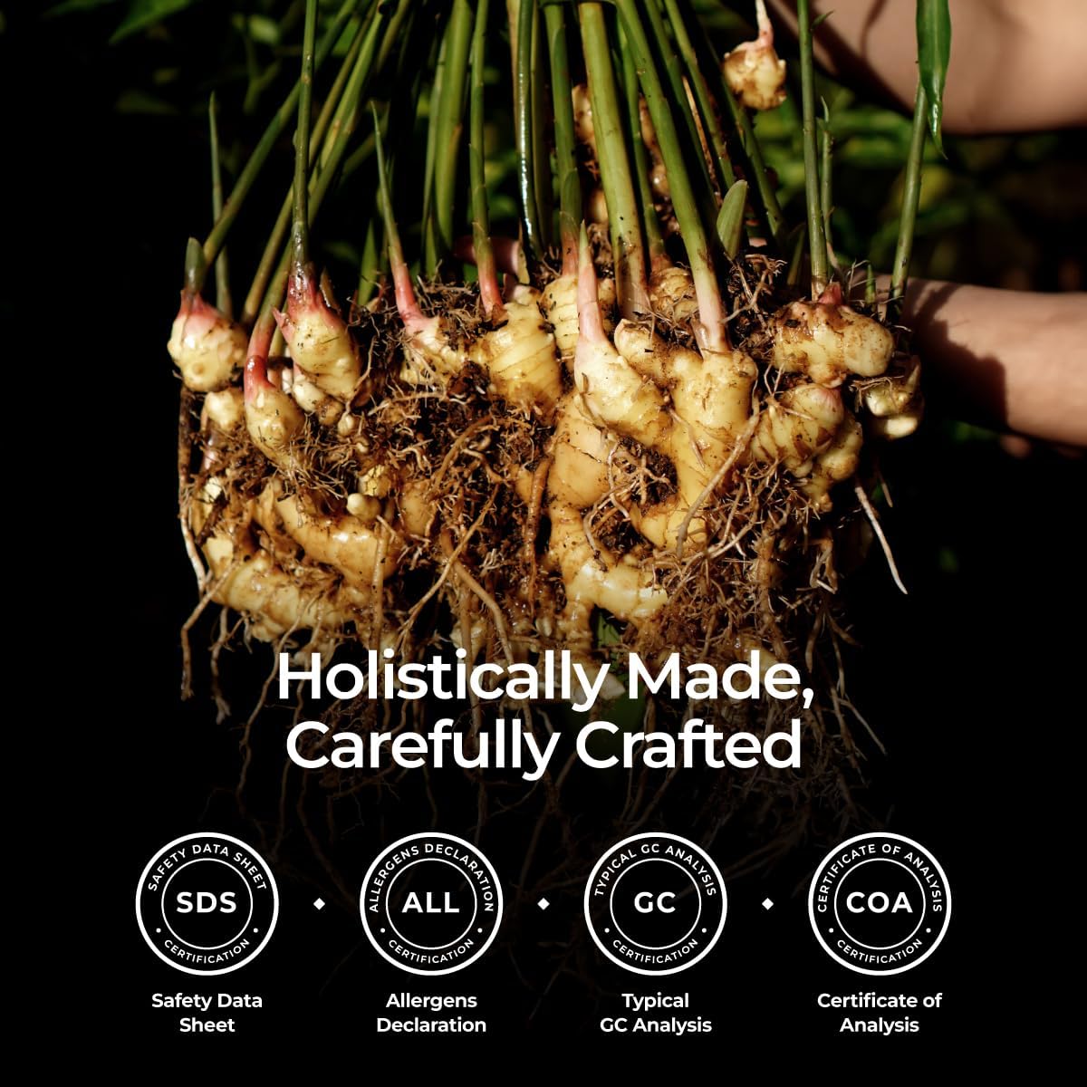 Gya Labs Organic Ginger Essential Oil - 0.34 Fl Oz - for Skin, Hair, Diffuser, Aromatherapy, DIY Candle Making Scents