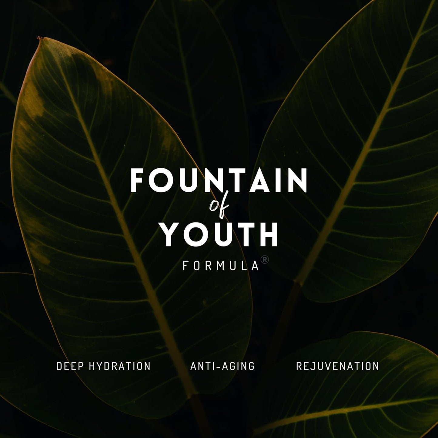 Natural Mineral Sun Screen SPF 30 for Face & Body – Lightweight, Hydrating & Moisturizing Sunscreen – Daily Sunscreen Moisturizer, No White Cast Zinc Oxide, Reef-Safe Korean Skin Care