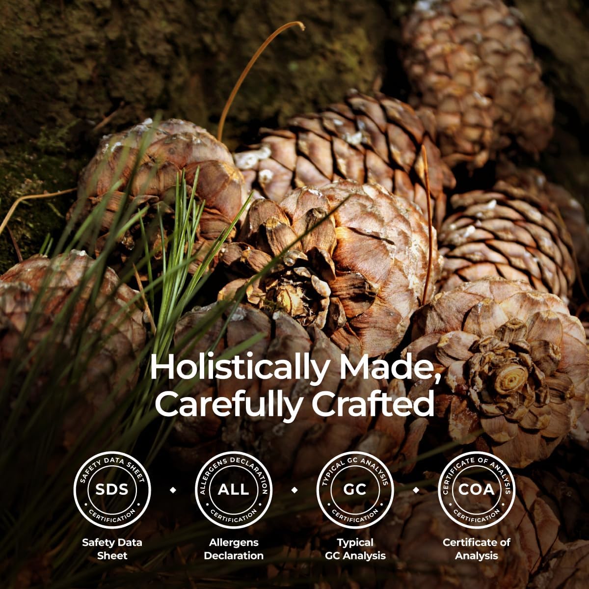 Gya Labs Organic Cedarwood Essential Oil - 0.34 Fl Oz - for Skin, Hair, Diffuser, Aromatherapy, DIY Candle Making Scents