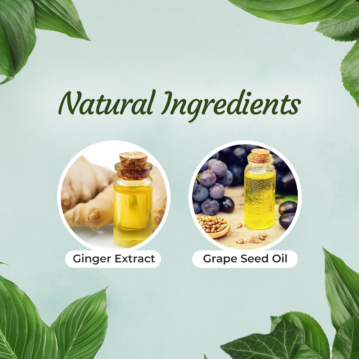 Herbishh Ginger Hair Oil - Fast Thickening and Regrowth Serum for Dense Hair - Best Compact 30ml Care Product for Women & Men