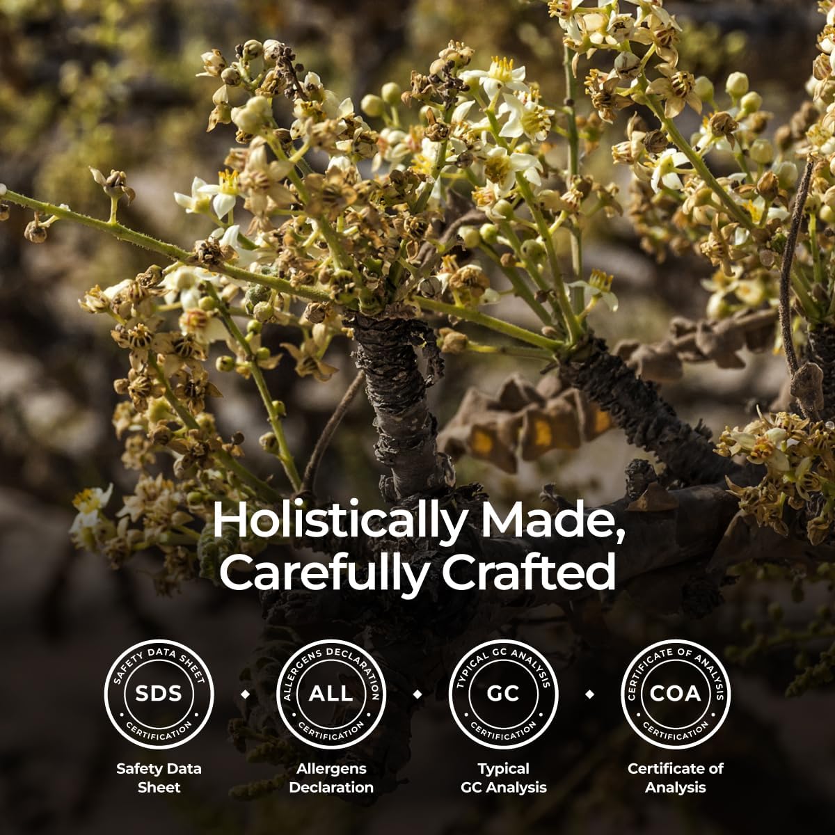 Gya Labs Organic Frankincense Essential Oil - 0.34 Fl Oz - for Skin, Hair, Diffuser, Aromatherapy, DIY Candle Making Scents