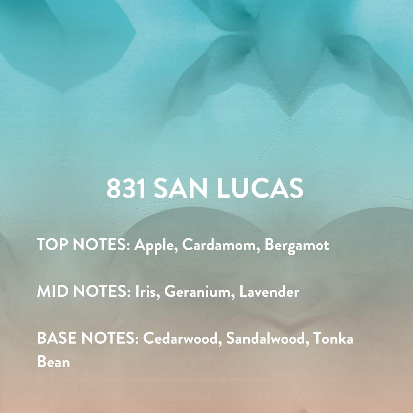 Michael Malul 831 San Lucas Eau de Parfum Gift Set - 100ml | 10ml