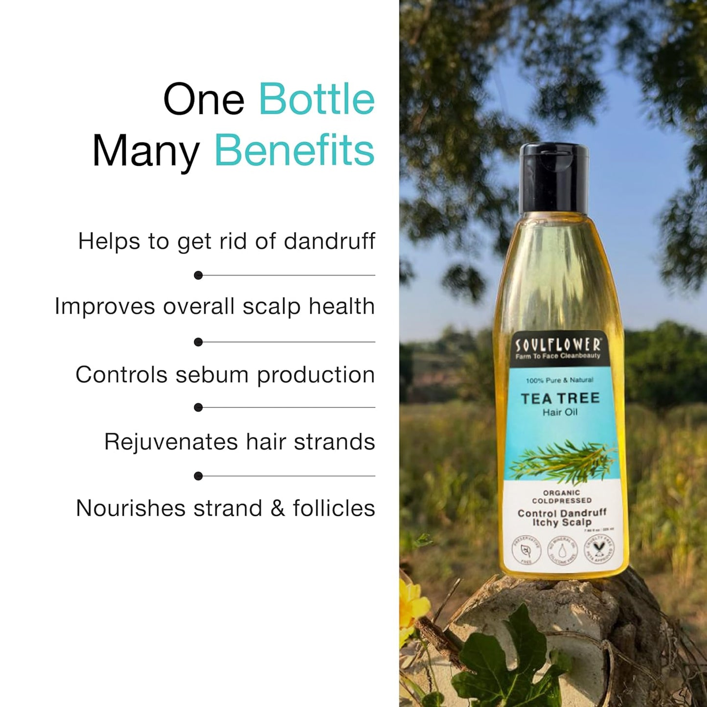 Soulflower Tea Tree Hair Oil for Dandruff & Hair Loss Control, Scalp Treatment - 100% Pure, Organic, Natural, Coldpressed, Vegan - 225 ml