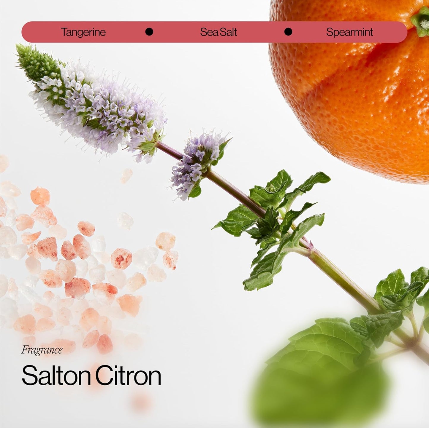 Eva NYC Volumizing Lightweight Deep Conditioning Treatment Mask for Fine Hair - Adds Volume + Body - Soften + Deeply Moisturize Hair - Vegan + Sulfate Free - Salted Citron Scent - 8.4 fl oz