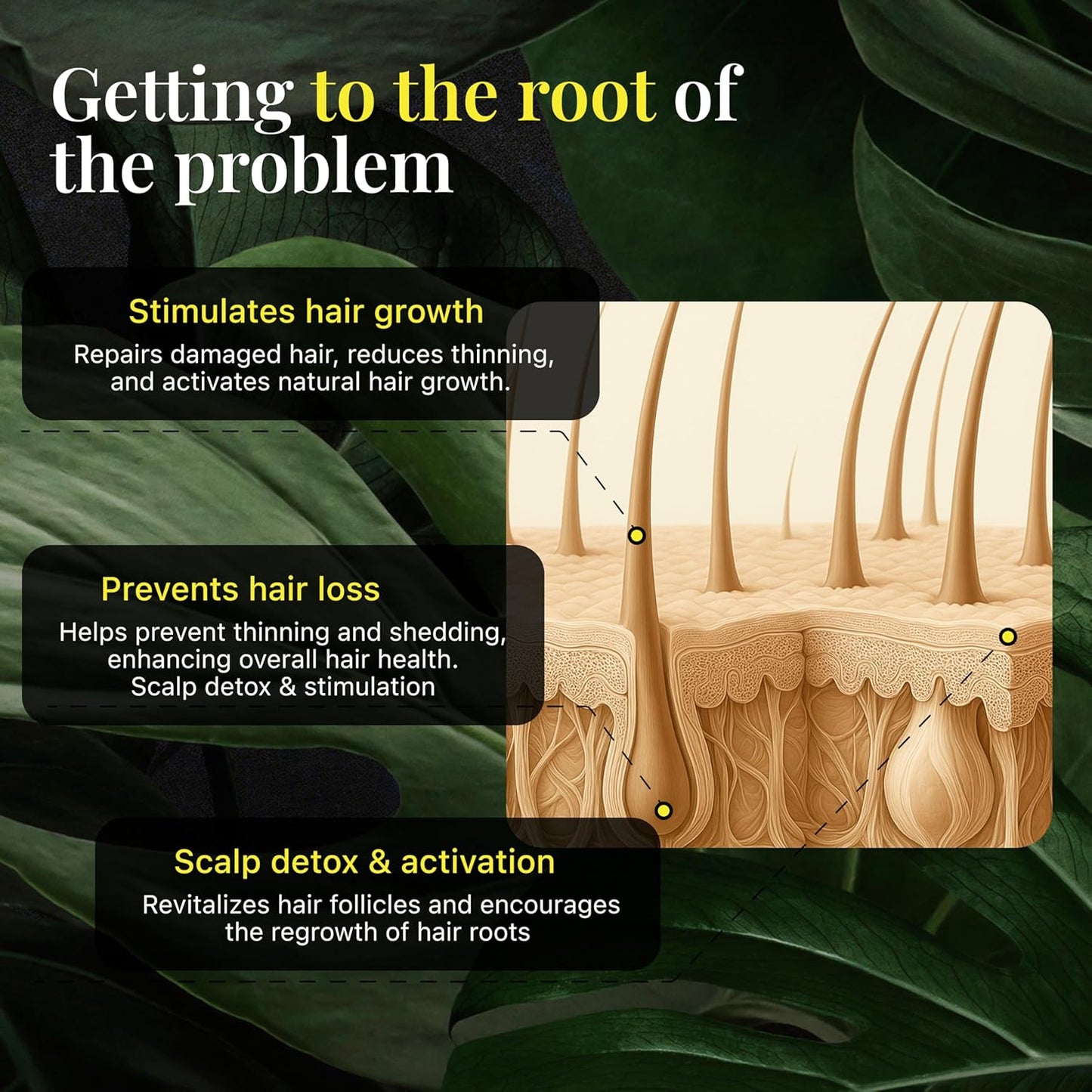 Batana Oil with Organic Rosemary & Biotin – Hair, Eyebrow & Eyelash Growth Serum – Nourishing Oil for Thicker, Fuller-Looking Hair, Brows & Lashes – Strengthens Roots & Conditions Dry Ends