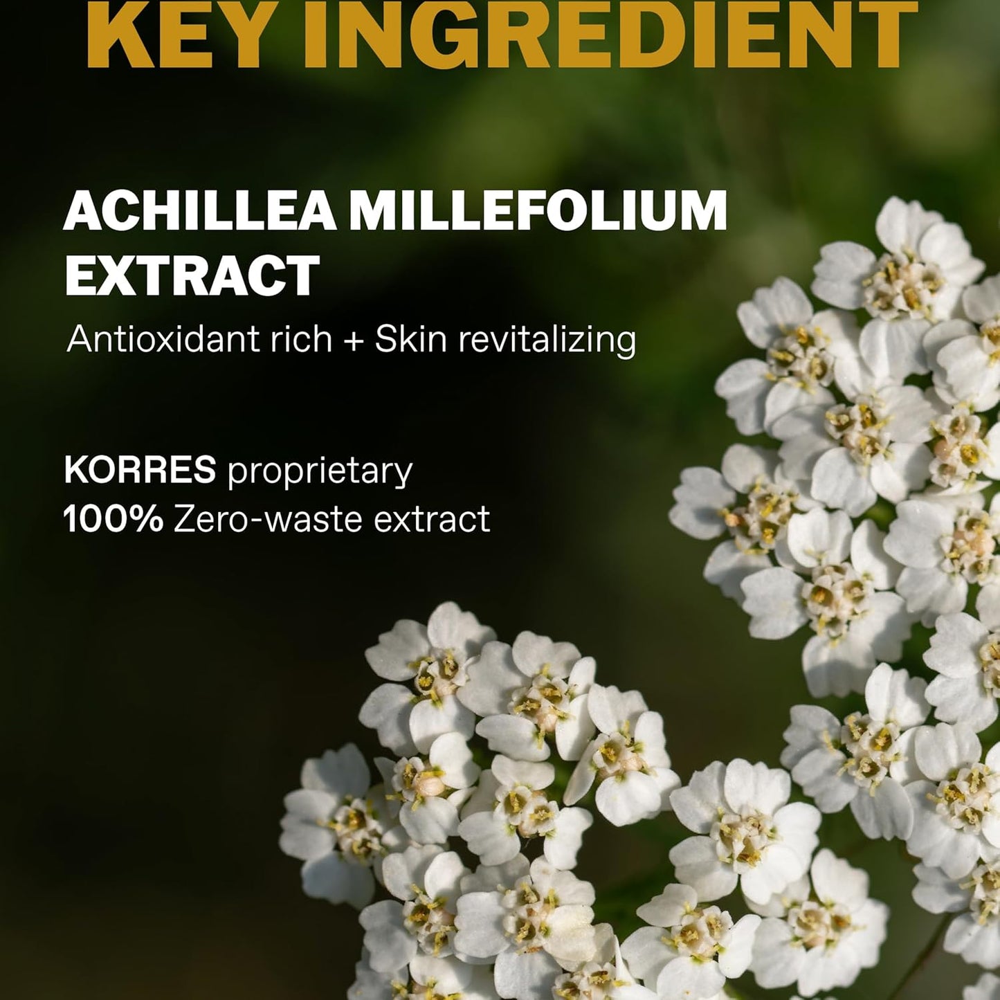 KORRES Athenian Grooming Anti-Ageing Cream for Face & Eyes, Achillea Millefolium & Baobab Leaf Extracts, Reduces Fine Lines, Smooths Wrinkles, Minimizes Eye Puffiness, Vegan, For Men, 1.69 Fl Oz