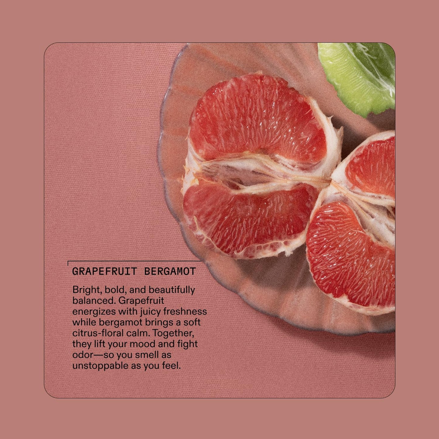 Cleo + Coco. Deodorant Powder for Body and Hair, Grapefruit Bergamot (0.88 oz), 2-in-1 Deo Powder & Dry Shampoo for Women & Men, Aluminum Free Deodorant, Talc-Free, Anti Chafe Protector, Travel-Size