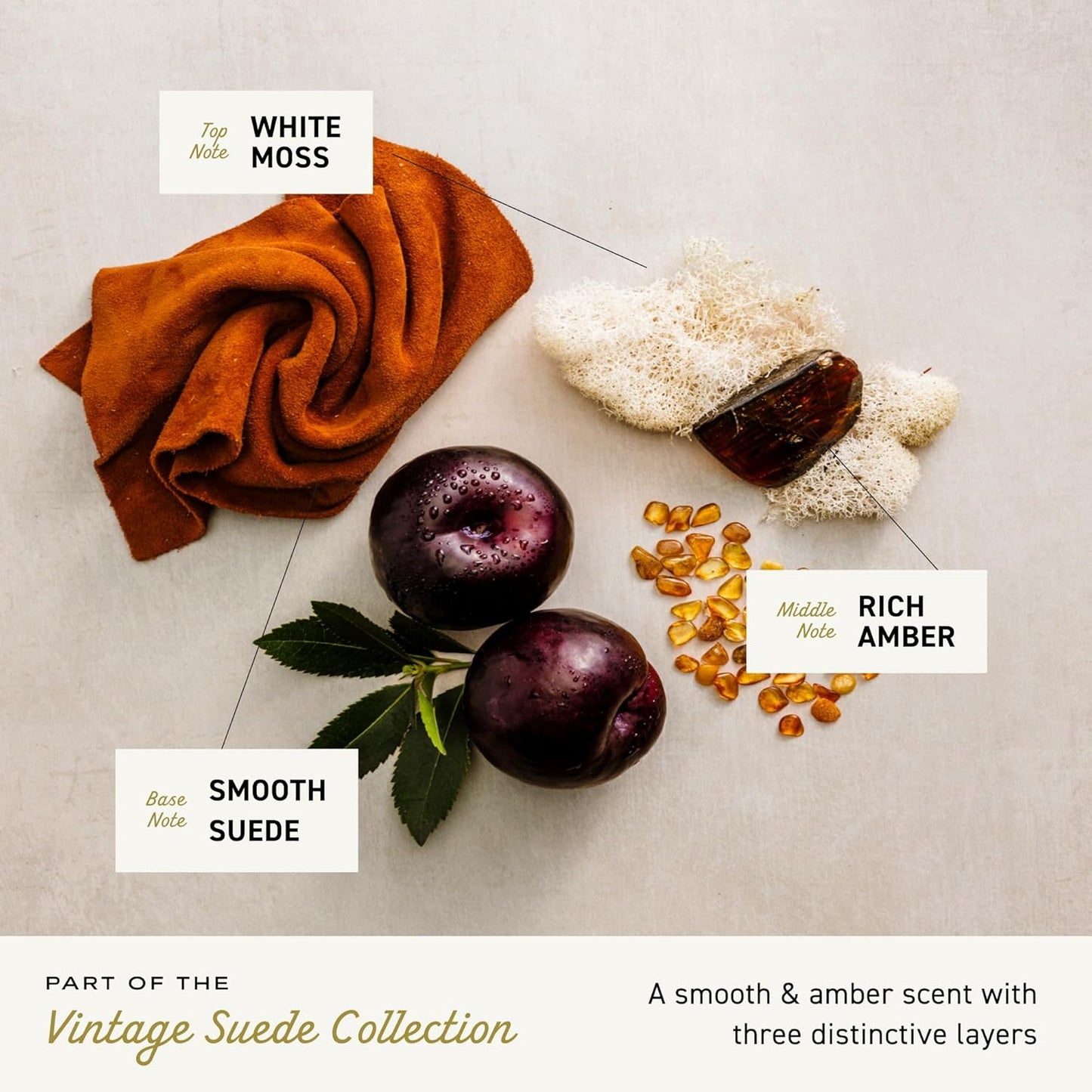 Cremo Body Wash Men, A Vintage Suede with Notes of White Moss and Rich Amber, 16 Fl Oz