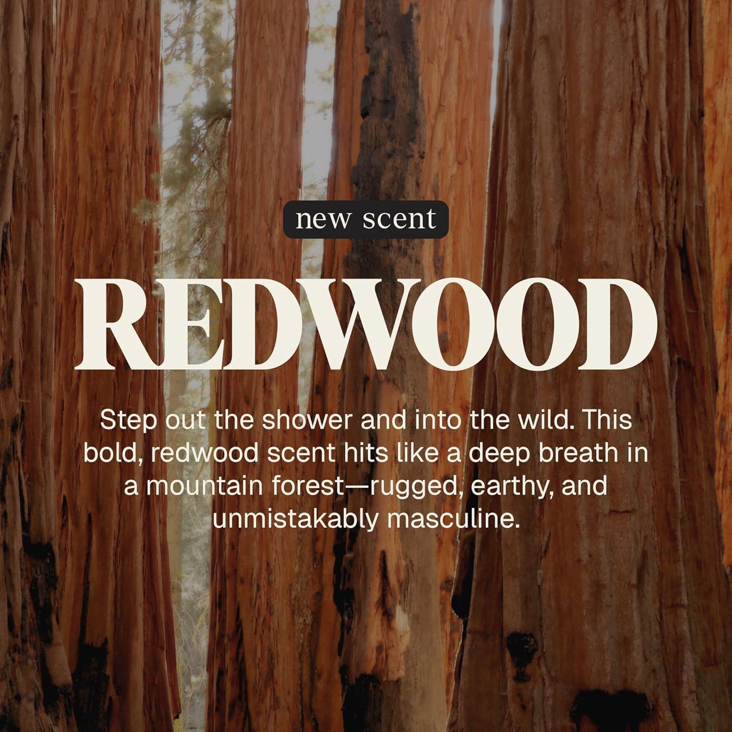 Black Wolf Thickening & Volumizing Hair Shampoo for Men - Strengthening Hair Care Products for Volume & Body with Biotin, Keratin & Hydrolyzed Rice Protein - Curly, Straight, Oily & Dry Haircare