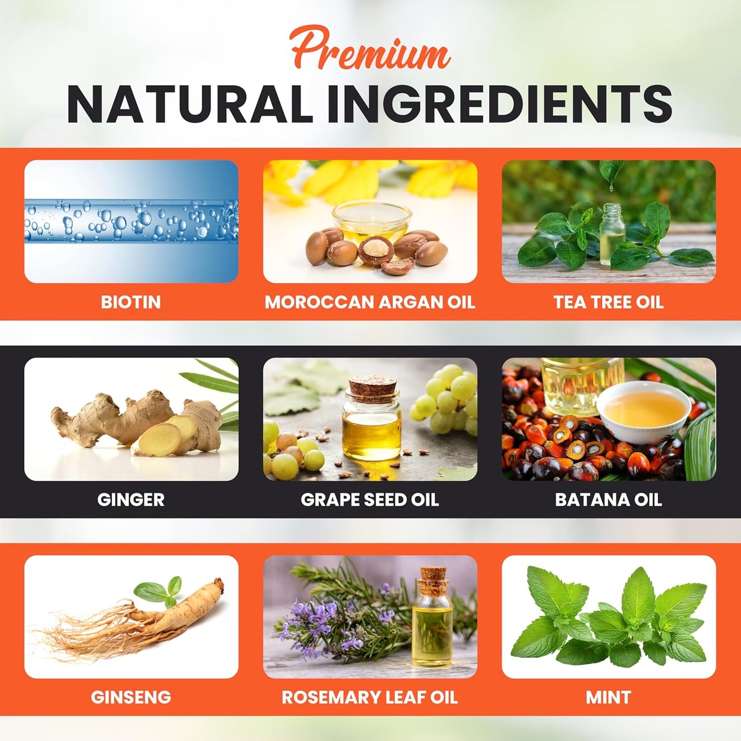 Hair Growth Shampoo - Biotin Infused Natural Botanical Formula with Tea Tree Oil, Ginseng & Mint for Stronger Hair and Healthy Scalp - 10.1 FL.OZ / 300ML