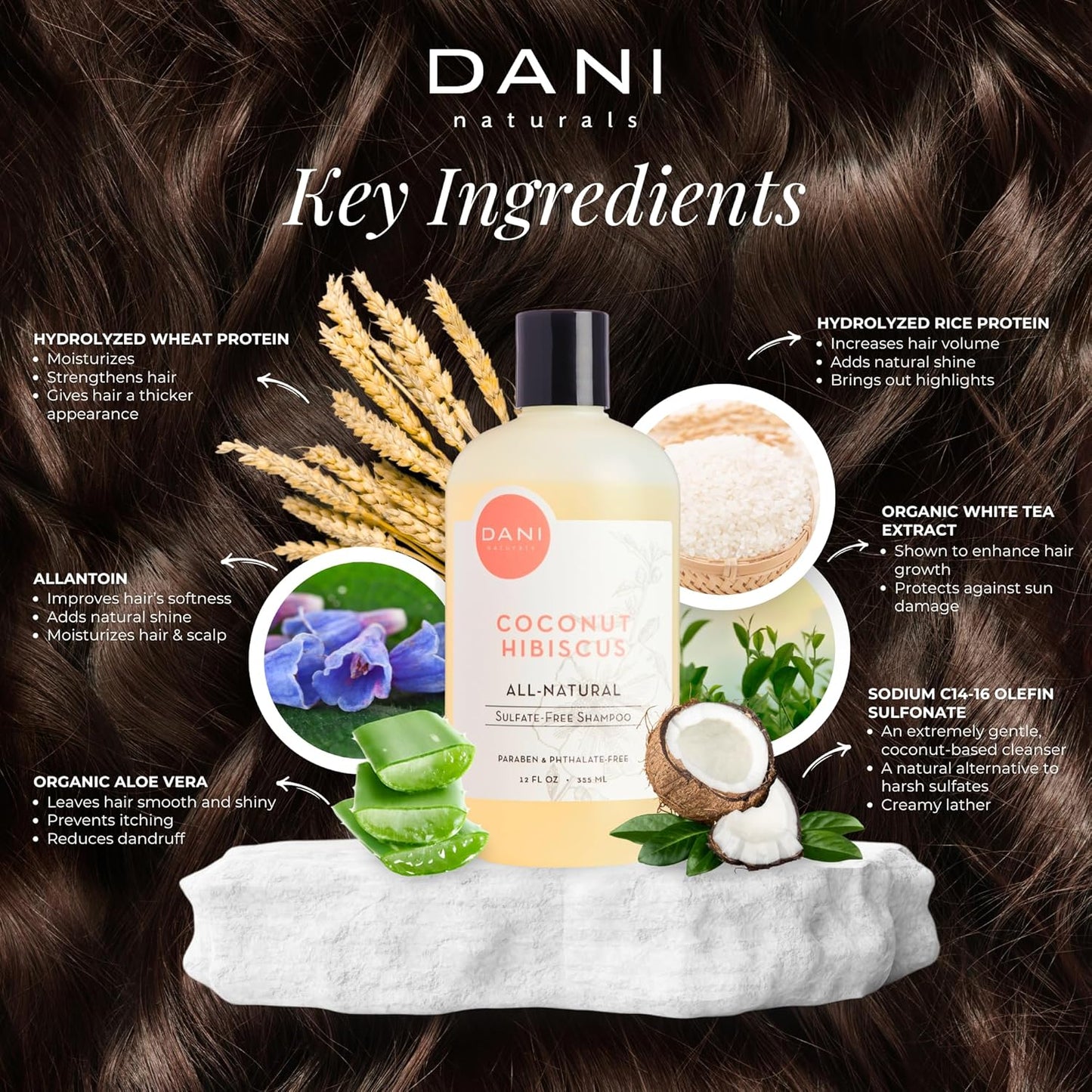 DANI Naturals Moisturizing Shampoo - Coconut Hibiscus - Sulfate-Free, Strengthens & Conditions Dry, Thin, Damaged Hair - Color-Safe, Organic Ingredients, 12 oz
