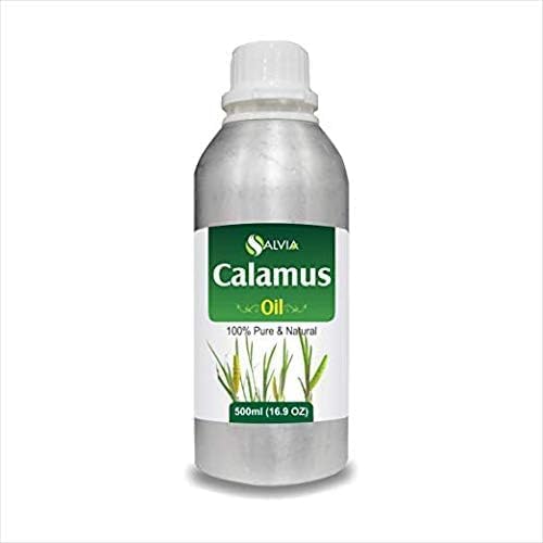 Calamus Oil (Acorus Calamus) Therapeutic Essential Oil by Salvia 100% Natural Uncut Undiluted Pure Cold Pressed Aromatherapy Premium Oil - 500ML/ 16.9fl oz