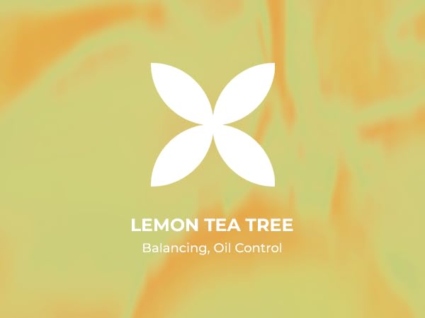 INNA Organic Sheet Mask - Balancing & Oil Control, EWG & COSMOS Certified (Pack of 5) | Lemon Tea Tree Essential Oils Infused Skin Care | Luxury Clean Beauty