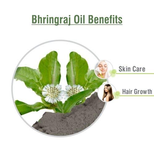 ﻿Salvia Bhringraj Oil (Eclipta alba) 100% Pure & Natural - Undiluted Uncut Cold Pressed Premium Oil Use for Aromatherapy, Skin Care & Hair - Therapeutic Grade (250 ML (8.45351))