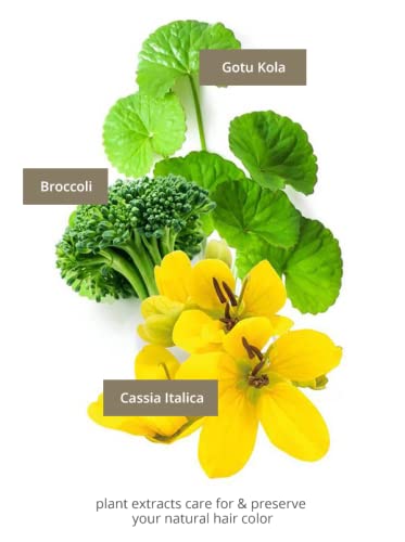 KHADI COLOR CARE Hair Oil - Hair treatment for fixing plant hair color - shine & UV protection - luminosity - 100% natural, plant-based & vegan - 1.69 fl oz