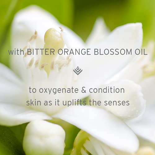 Kerstin Florian Organic Rehydrating Neroli Facial Oil | Anti Aging Moisturizer with Jojoba and Argan Oils | Facial Serum for All Skin Types (1 fl oz)