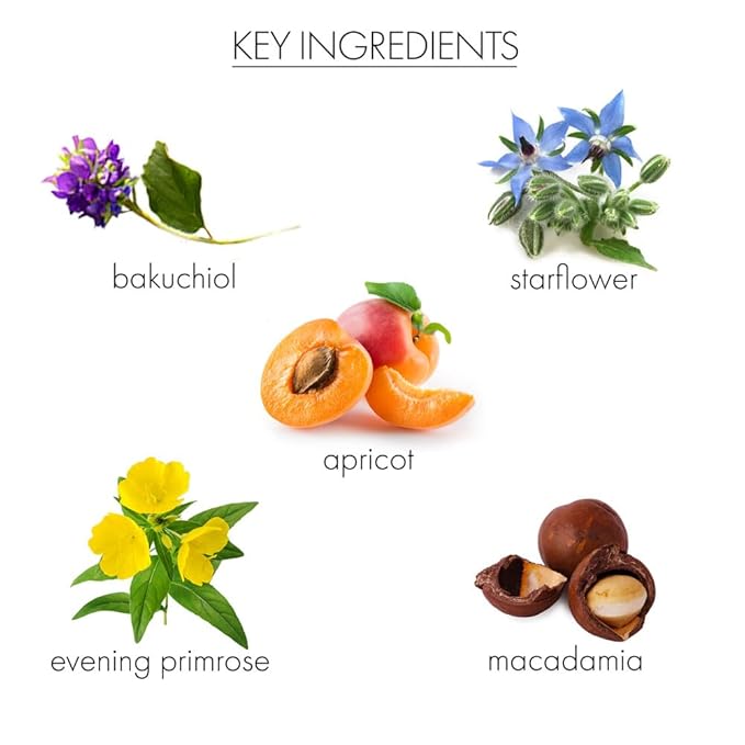 Whish Face Oil with Bakuchiol - Body & Face Moisturizer for Women & Men - Natural Retinol Alternative - Skin Care & After Shower Body Oil - For All Skin Types - 1 oz