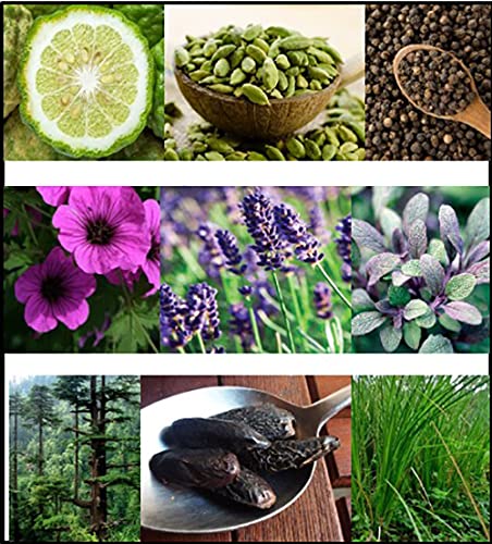 FILA Refreshing Body Spray for Men - Cool, Clean, Fresh Men’s Fragrance - Infused With Notes Of Bergamot, Cardamom, and Pepper - Trendy, Rectangular, Streamlined, Portable Bottle Design - 8.4 Oz