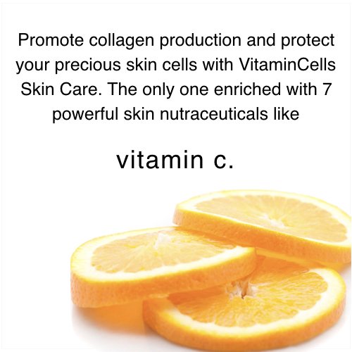 Ecco Bella Plant Based Rebuilder Night Cream - All Natural Anti-Aging Moisturizer for Face with Hyaluronic Acid, Vitamin C & Vitamin E - 2oz