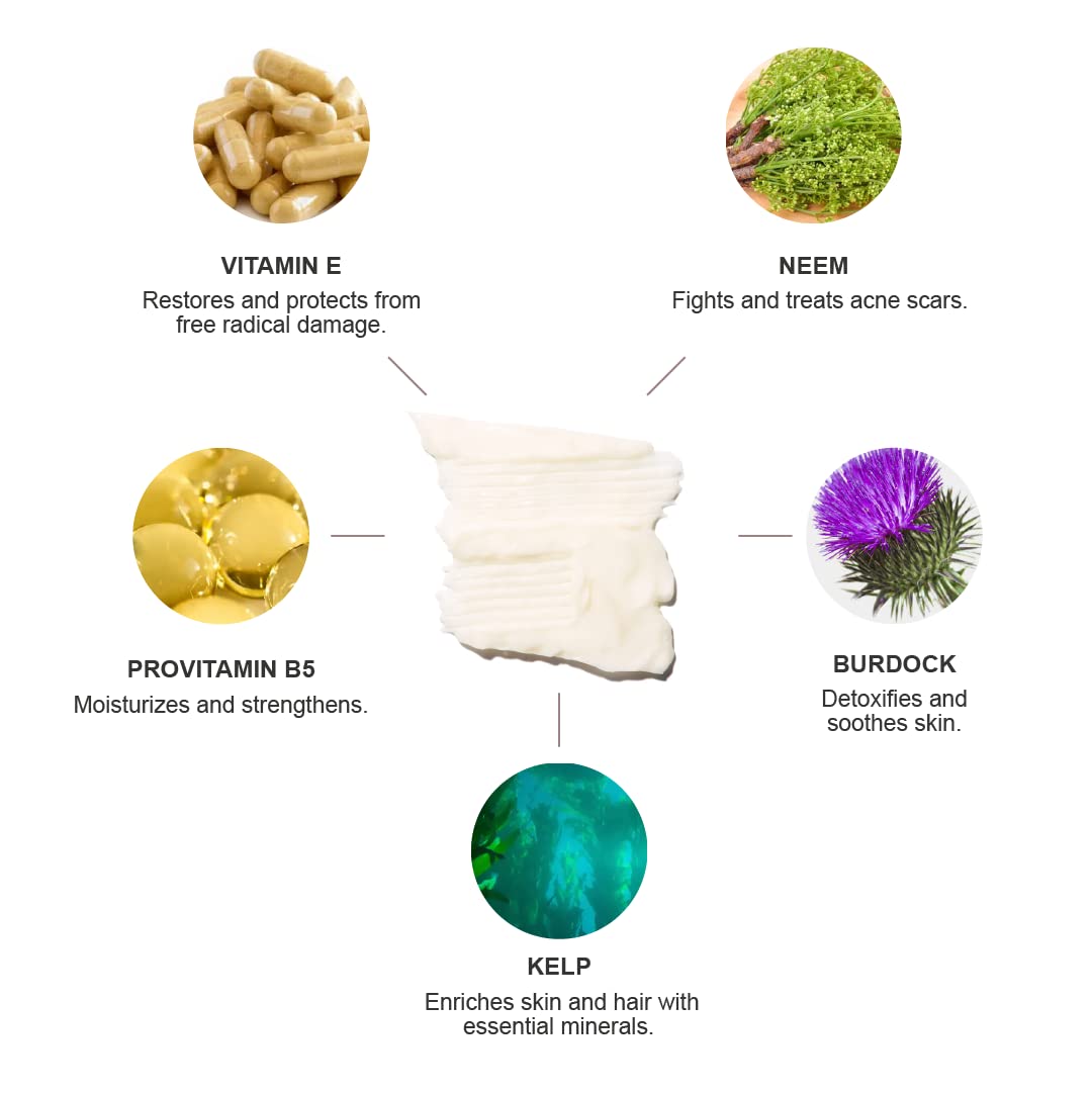 100% PURE Burdock and Neem Healthy Scalp Purifying Conditioner Moisturizing Detox for Dry, Damaged Hair with Kelp Replenishing Itchy, Flaky Scalp Hydration for Women & Men - 8 Fl Oz