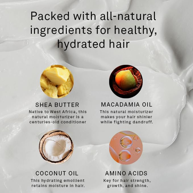 Hawthorne Frizz Fighter Shampoo. Mens Curly Hair Shampoo with Shea Butter and Coconut Oil to Hydrate Hair and Tame Frizz. Sulfate Free, Paraben Free, Mens All Natural Shampoo. 8 Fl. Oz. 2-Pack.