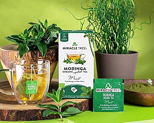 Miracle Tree - 6 Count of Organic Moringa Superfood Tea, 25 Individually Sealed Tea Bags, Mint (Keto, Detox, Energy/Immunity Booster, Vegan, Gluten-Free, Organic, Non-GMO, Caffeine-Free)