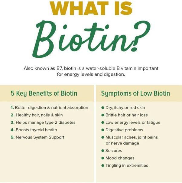 Biotin (Vitamin B7) Powder Vitamin B7 Powder for Hair, Skin, and Nail Health, Biotin Vitamin Non-GMO, Gluten-Free (4 Ounce / 113 Grams)