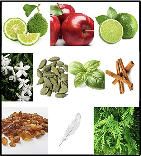 FILA BLACK for Men - Invigorating Spicy And Floral Fragrance For Him - Extra Strength, Long Lasting Scent Payoff For All-Day Wear - Trendy, Rectangular, Streamlined, Portable Bottle Design - 3.4 Oz