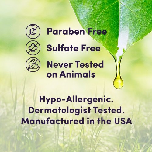 NXN Beauty Sleep Invisible Overnight Moisturizer Super Hydrating Face Mask Natural Anti-Aging Formula for Dry/Sensitive Skin, 1 Fl Oz…