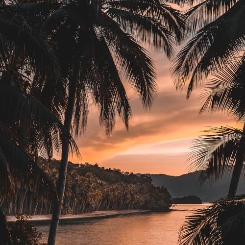 Hidratei Brazilian Beauty Super Hair Mask | Deep Hydration Hair Mask | Damaged Hair Repair | Dry Hair Treatment | Ultimate Hair Moisturizer for Silky, Hidrated Hair | 8.8oz