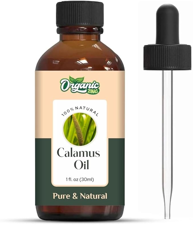 Calamus (Acorus Calamus) Oil | Pure & Natural Essential Oil for Skincare, Hair Care, Aroma & Diffusers - 30ml/1.01fl oz
