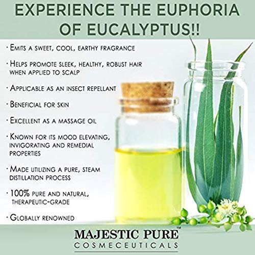 Majestic Pure Eucalyptus Essential Oil | 100% Pure and Natural Eucalyptus Oil | Premium Grade Essential Oils for Hair Care, Home Diffusers, Aromatherapy, Massage and Humidifiers | 4 Fl Oz (Pack of 2)