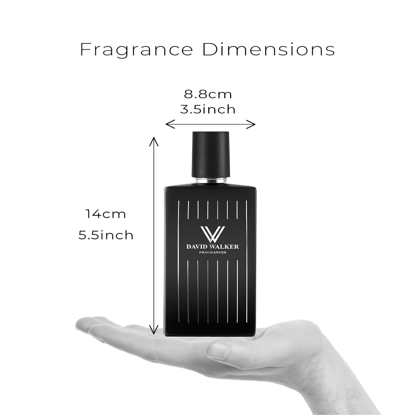 David Walker Albert Perfume - Exclusive Masculine Collection | Bergamot, Lavender, Sicilian Lemon | Long-lasting Scent for men | 50ML/1.7Oz