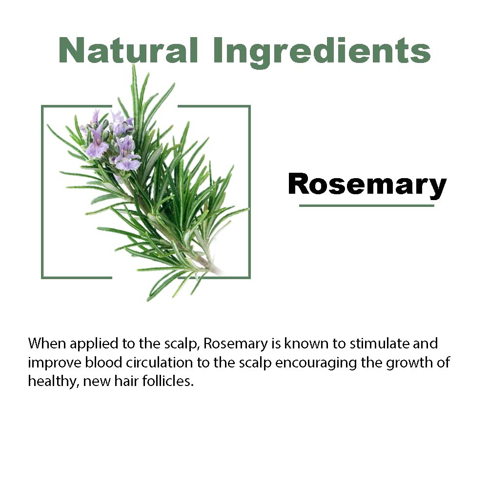 Moraz Natural Detangler Spray for Kids with Rosemary Extract, Kids Detangler Spray for All Hair Types, Organic Detangler Spray Toddler, 8.5 FL. OZ.