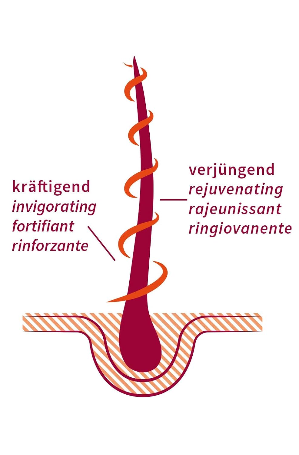 khadi STRONG AMLA hair oil, 100% natural, herbal, vegan, promotes growth, prevents hair loss & gray hair, strengthens roots, silicone-free, Ayurvedic hair care, organic beauty 1.69oz